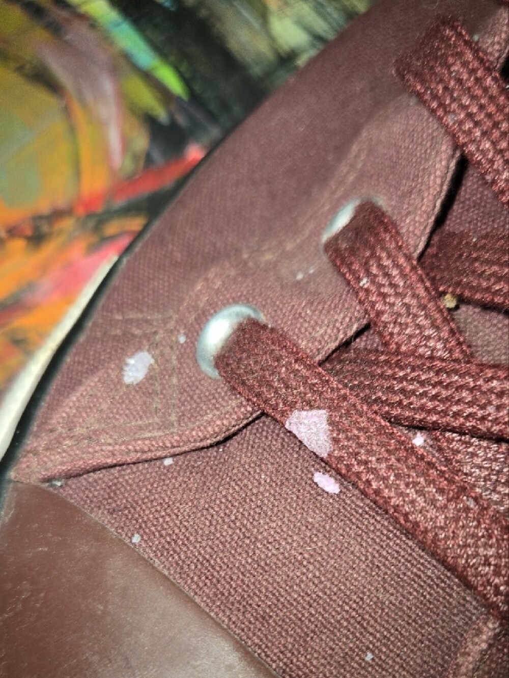 Converse High Top Sneakers in Burgundy - Picture 5 of 12